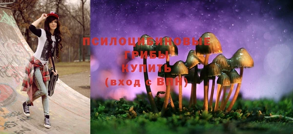 марихуана Абаза