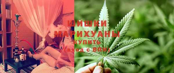 ПСИЛОЦИБИНОВЫЕ ГРИБЫ Алексин