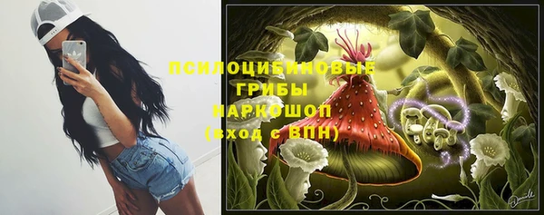 марихуана Абаза