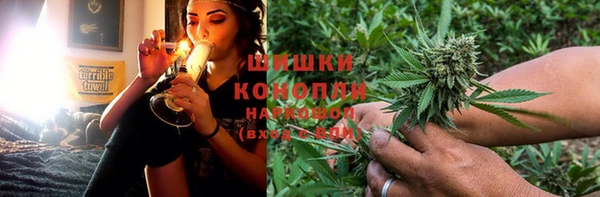 дурь Алзамай