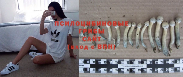 винт Абинск