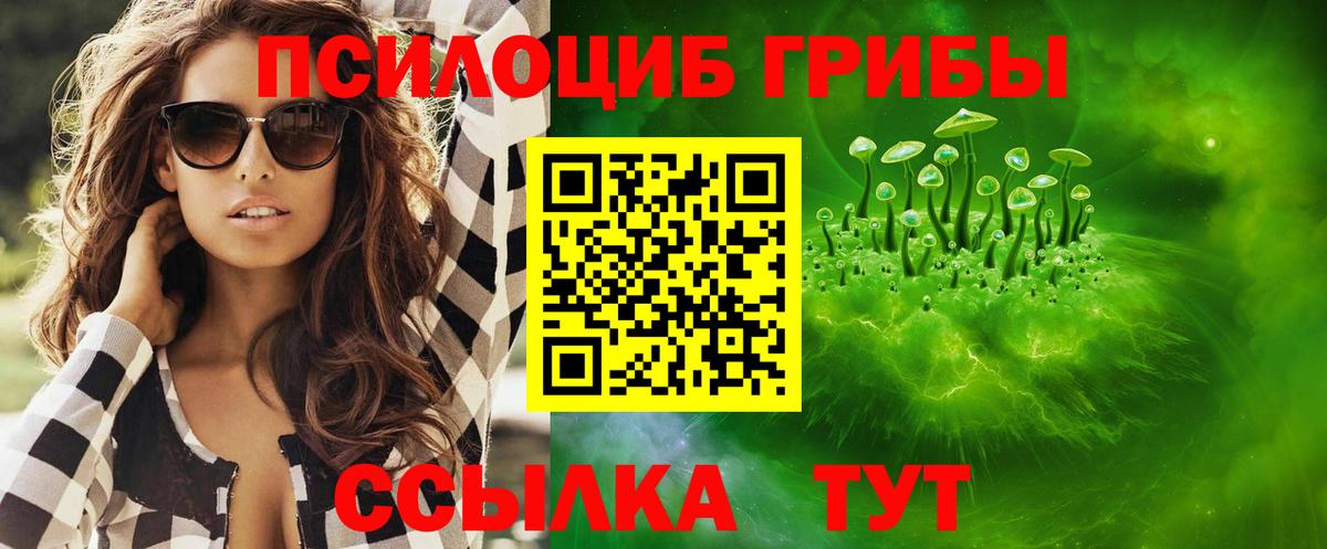 Стерлитамак  Псилоцибиновые грибы мухоморы  Вход с VPN 